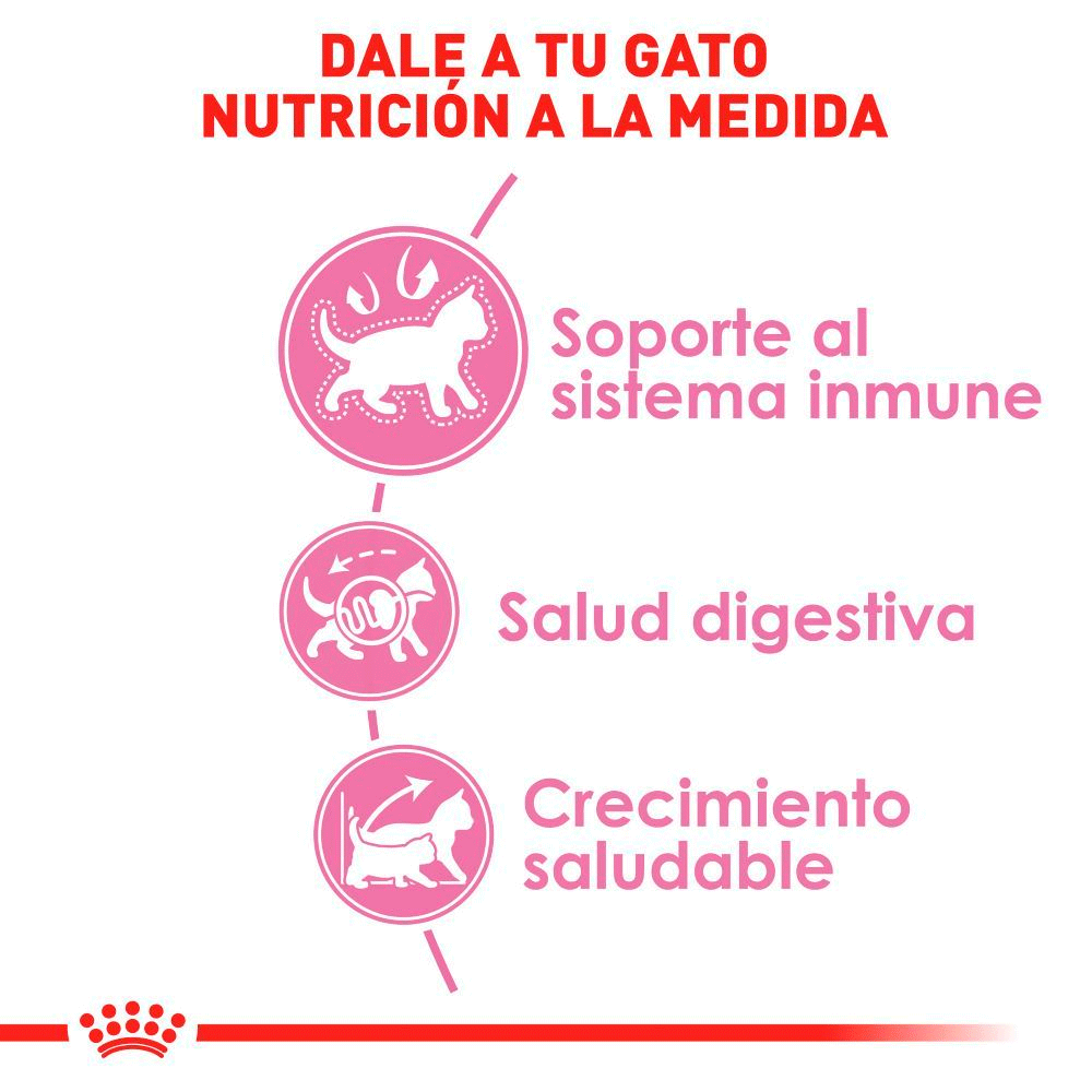 Royal Canin Kitten Royal Canin Kitten